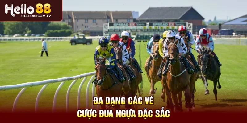 Đa dạng các vé cược đua ngựa đặc sắc